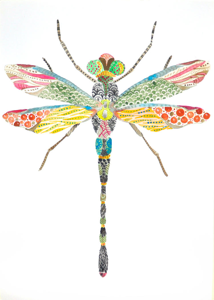 Dragonfly by CozyCatCabin on DeviantArt