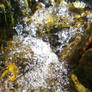 rocks in the water 4