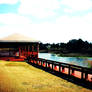 Lakeside View