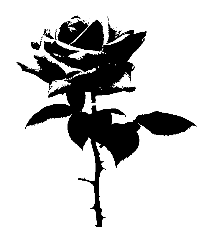 Rose Stencil