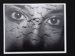 eyes by montanamudd
