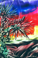 Yucca Palms at Sundown
