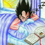 Vegeta sleeping