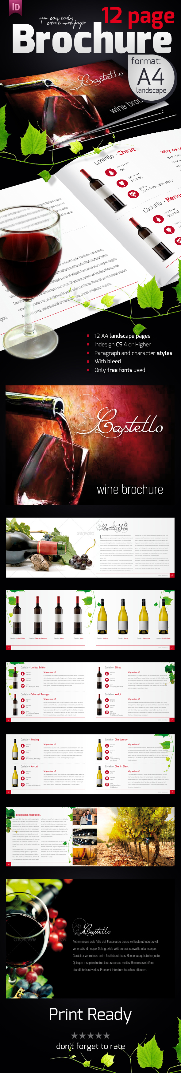 Grape Wine A4 brochure