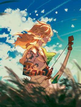 Link (TOTK)