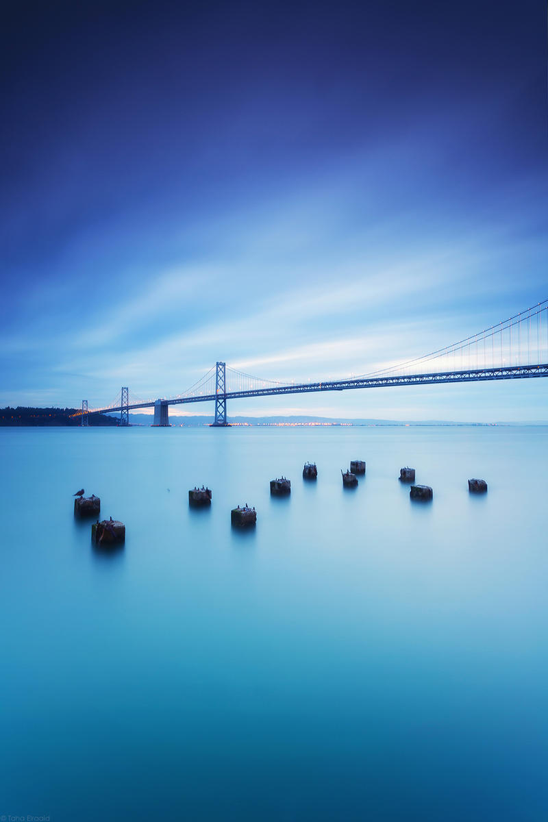 Blue Morning | San Francisco, CA