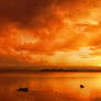 Beautiful sunset at Lake Illawarra, Australia