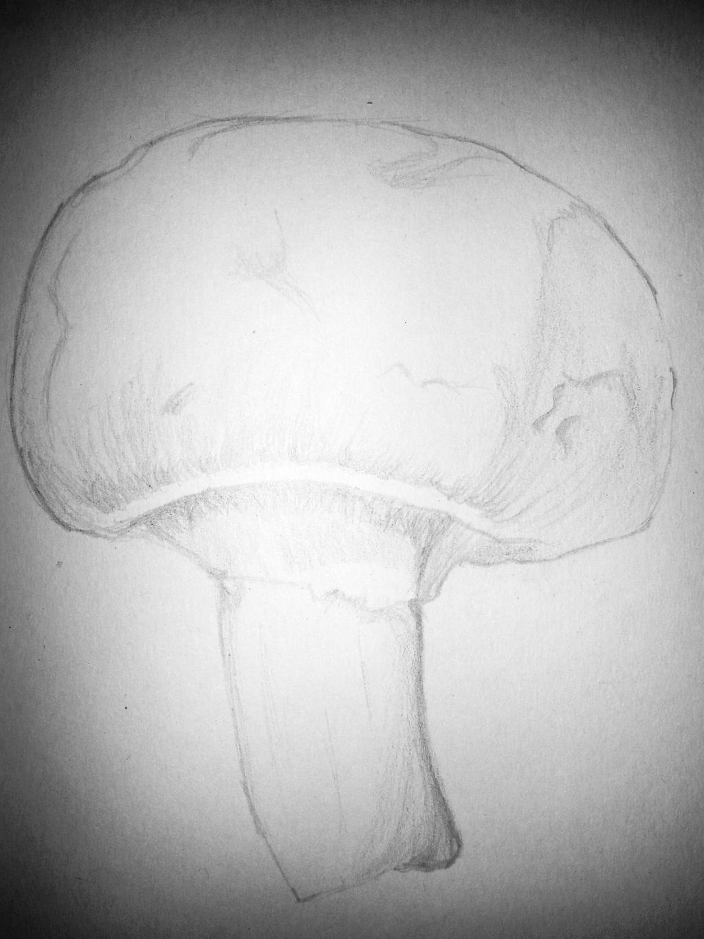 Mushroom