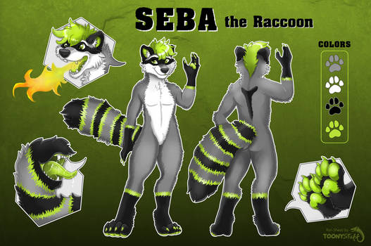 Commission: Seba Ref-Sheet