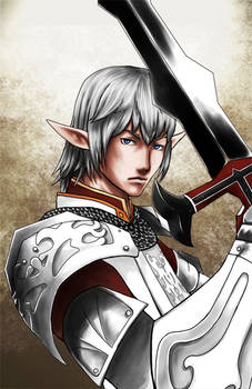 FFXI Elvaan Knight