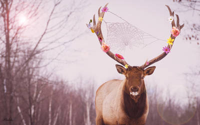 Flower Deer