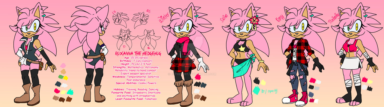 Roxanna The Hedgehog Reference Sheet