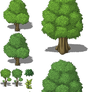 MV trees