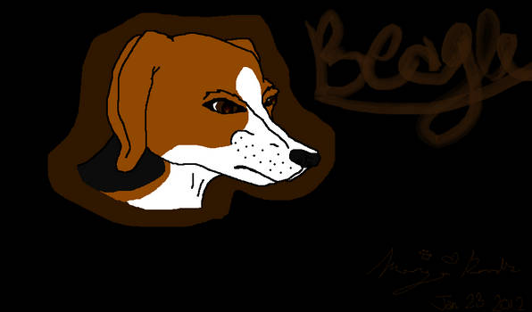 Beagle