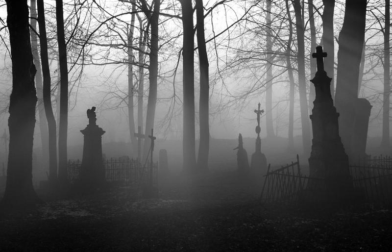 Piecot If You Dare by piechot on DeviantArt