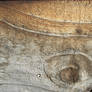 wood grain