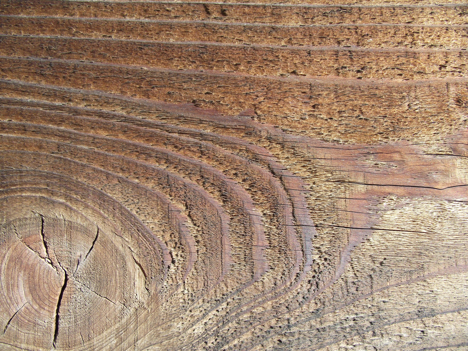 wood grain 26