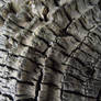 wood post