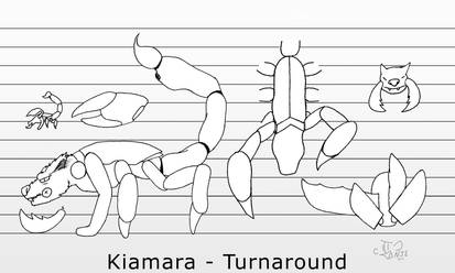 Kiamara Turnaround Commission