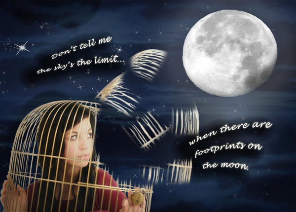 The Sky Isn't the Limit by TheLyssa