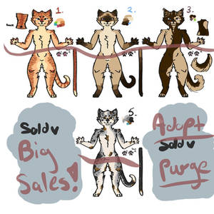 (SALE!) Anthro Kitties Adopt // Updated