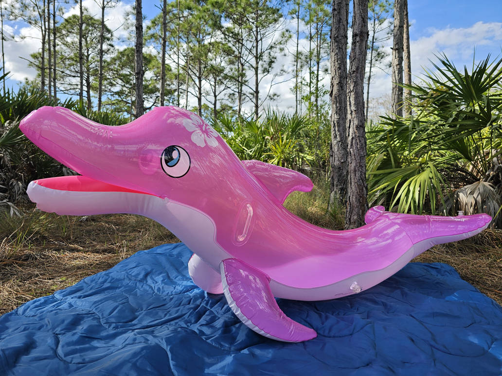 Josie the Pink Dolphin Pool Toy from Fluff Puff by HeathDragon on ...