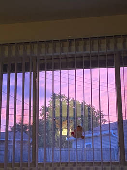 Sunset view from a living room window