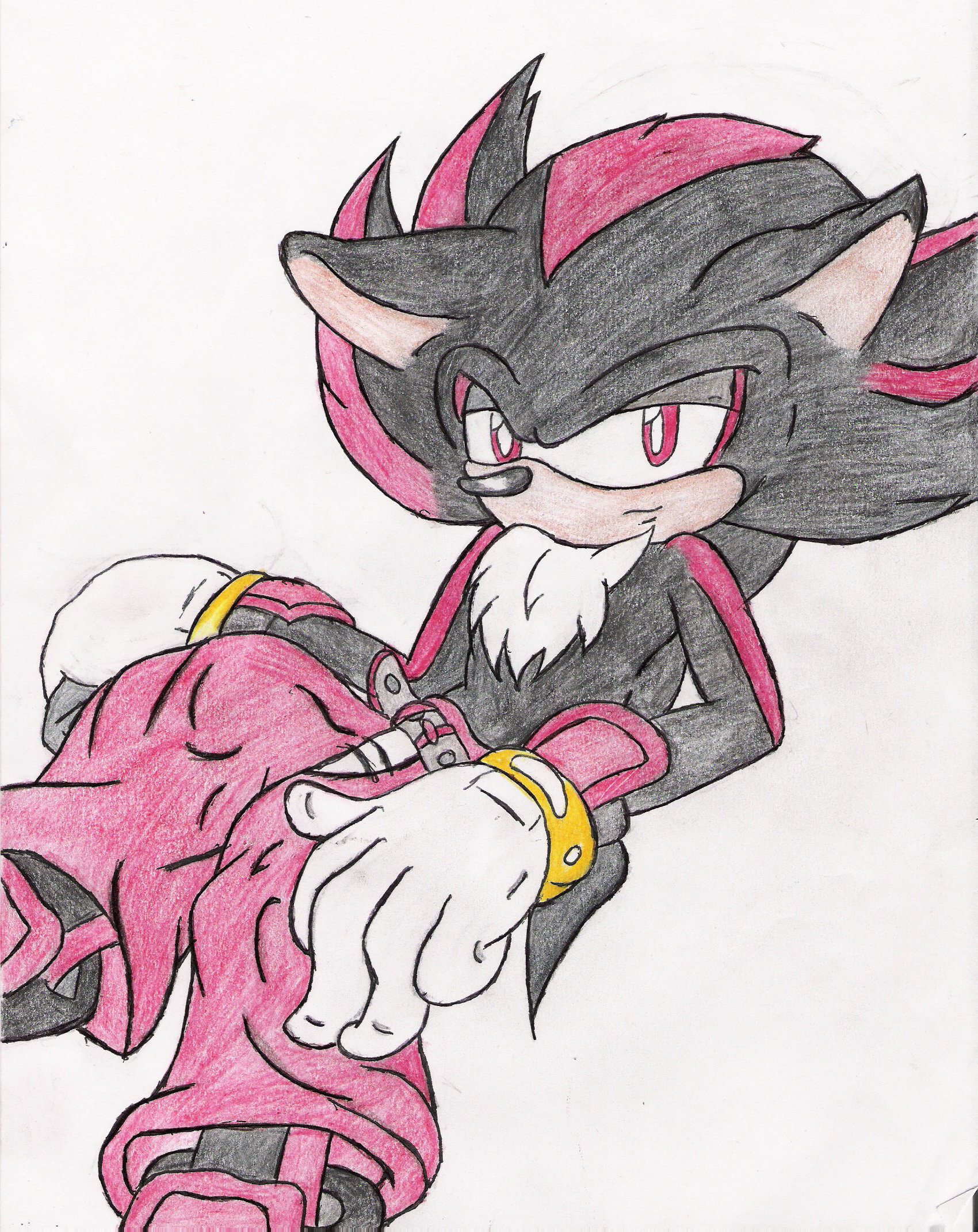 shadow the hedgehog