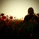 CCXII. somewhere VI. by behherit