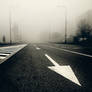 CCXLIV. ..in the fog IX.