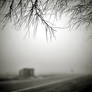 CCCVII. ..in the fog XVII.