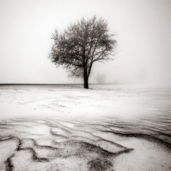 CCCXXI. ..Desolate Winter by behherit