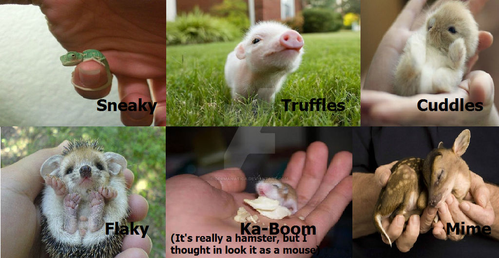 HTF Real Animals- Babies!! ^//w//^ by Germanatica on DeviantArt