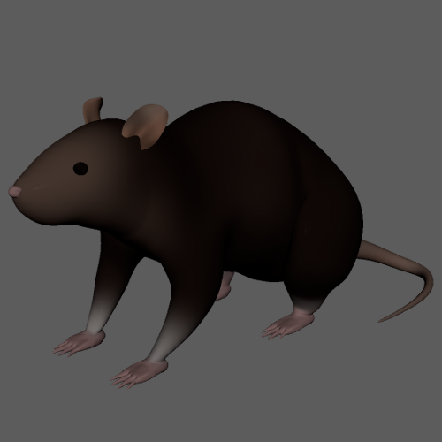 'Rat - Modeling and UV Map' 
