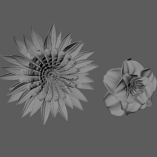 'Flower Variations - Modeling' 