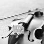 Black and White Violin