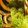 Bellevue Tribal Pole