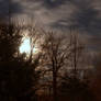 Full Moon Bright as Day