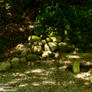 Shaded Bench
