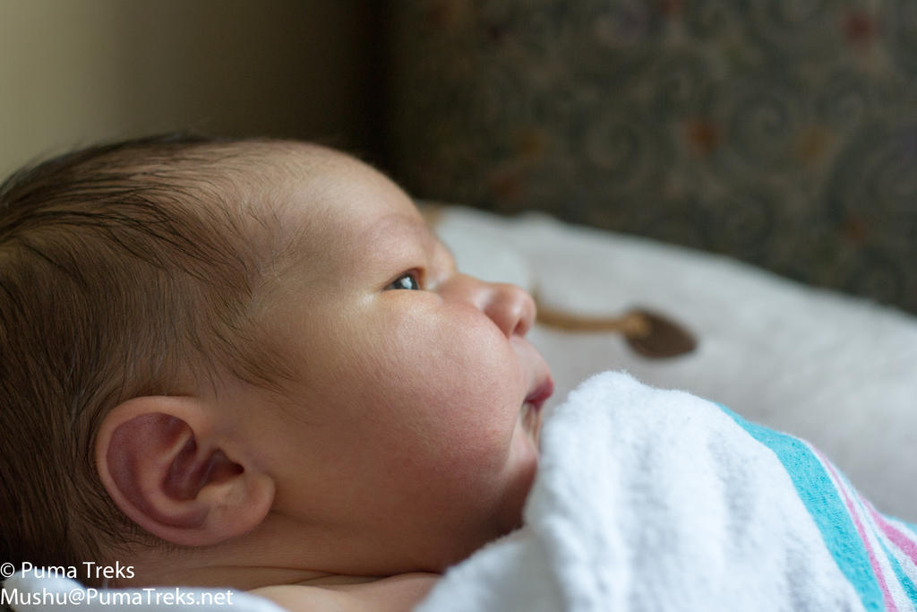 Baby Sterling