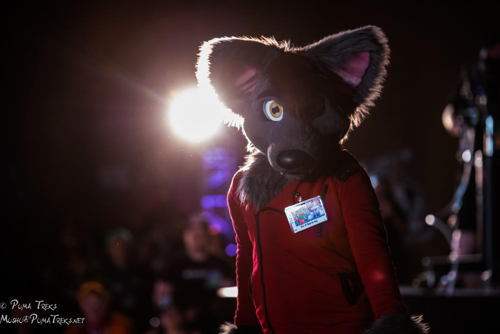 BLFC 2016 Dance Comp-79