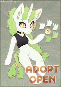 Pony ADOPT | OPEN