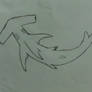 Winghead shark sketch.