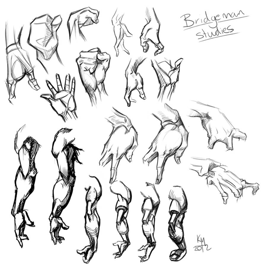 Bridgeman Studies by KieranMorris on DeviantArt