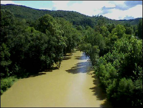 Backyard River