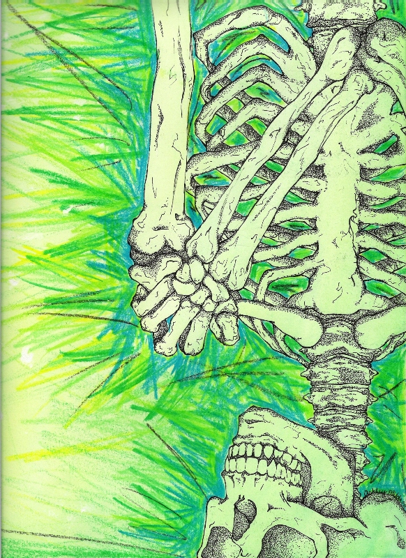 Skeleton