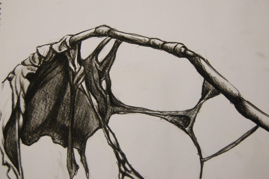 Back Arch Deviantart The arch by DreadfulNat on DeviantArt