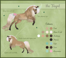 Ila Taynl Reference Sheet