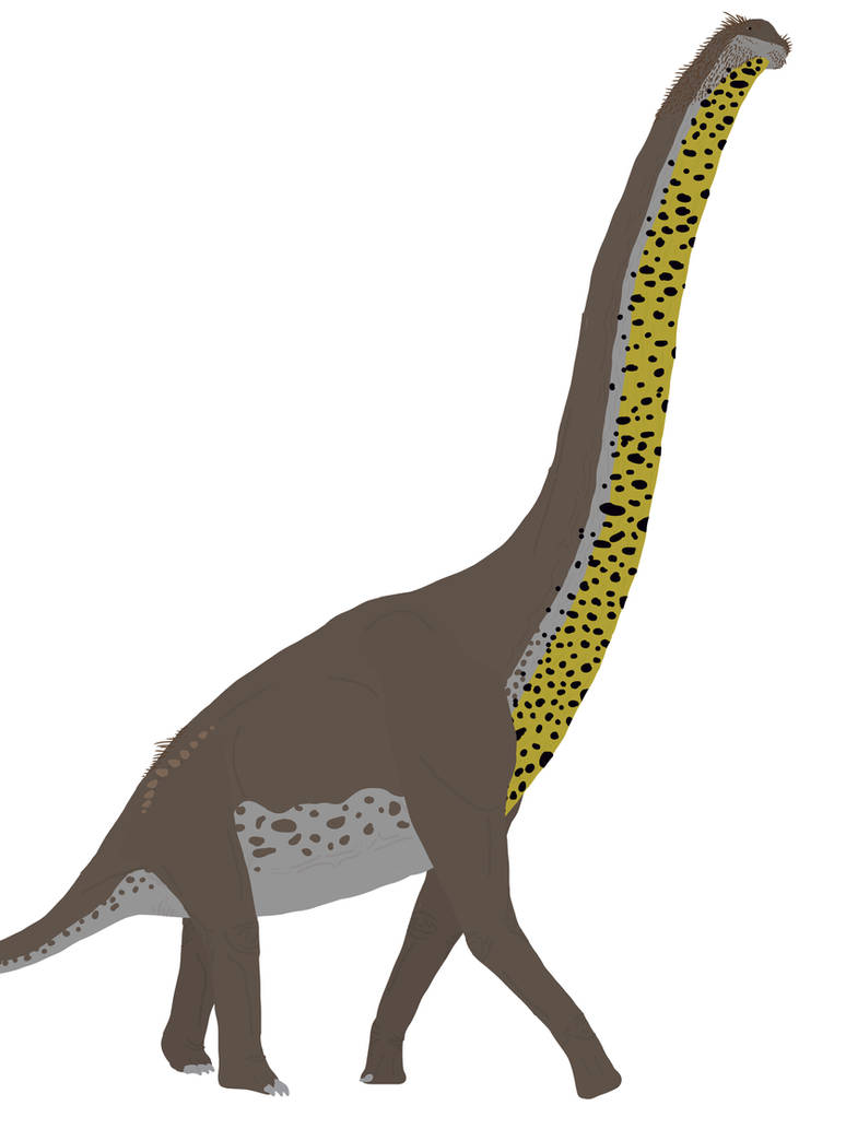 Argentinosaurus huinculensis by Ognimdo2002 on DeviantArt