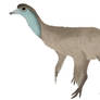Ornithomimus sp.